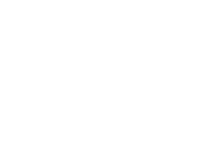 OX LOGO-01-1 (1)
